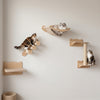 The Gallery · Wall-Mounted Cat Shelves · Set of 4 · Natural Wood · PurrPeak