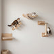 The Gallery · Wall-Mounted Cat Shelves · Set of 4 · Natural Wood · PurrPeak