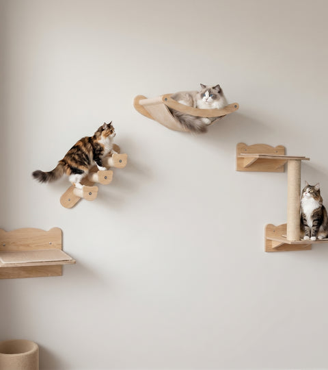 The Gallery · Wall-Mounted Cat Shelves · Set of 4 · Natural Wood · PurrPeak