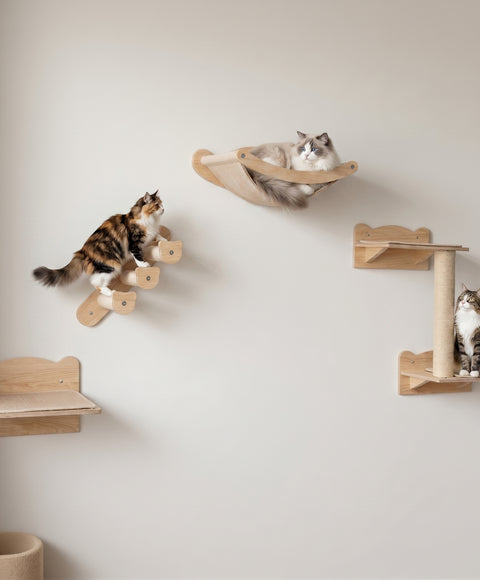 Wall-mounted shelves