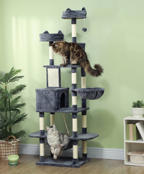 Floor-to-ceiling trees