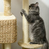 The Manor · Maine Coon Luxury Cat Tree · Multi-Level · Natural Sisal · PurrPeak